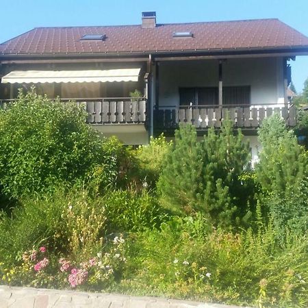 Апартаменты Haus Akelei Тодтмос Экстерьер фото