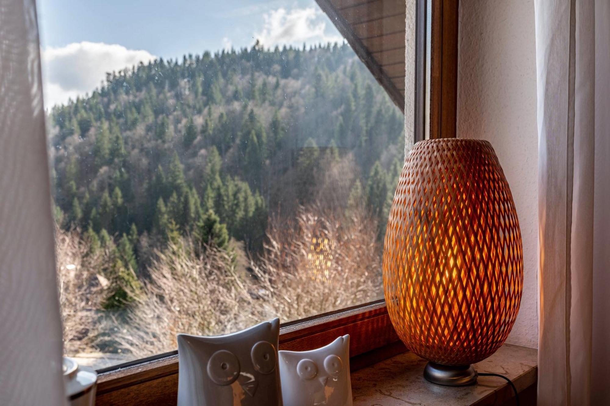 Апартаменты Haus Akelei Тодтмос Экстерьер фото